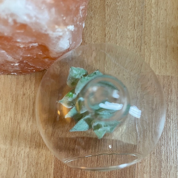 Hanging Glass Globe Terrarium/ Tea Light Candle Holders - Picture 10 of 15